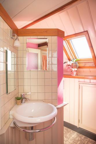 a bathroom with a sink and a mirror at Boerenhofstede de Overhorn in Weesp