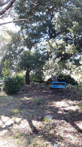 Κήπος έξω από το Gîte " Le Clos de la Pinède "