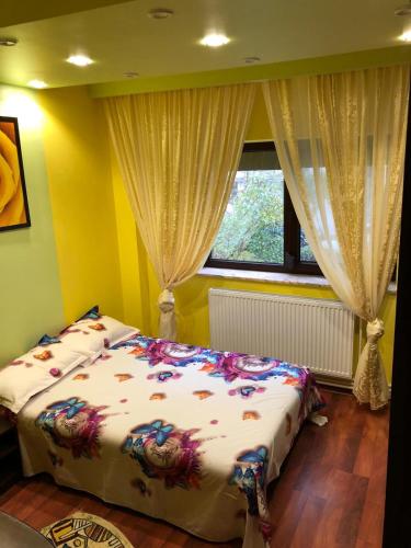 a bedroom with a bed and a window with curtains at Clau Apartment in Galaţi