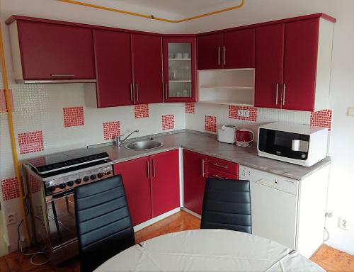 Kuchyň nebo kuchyňský kout v ubytování Apartmán Adam