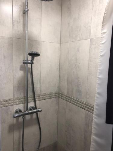 a shower with a hose in a bathroom at Villa Ievyne 2 in Paežeriai