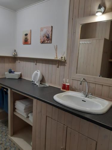 La salle de bains est pourvue d'un lavabo et d'un miroir. dans l'établissement L'Ecole, à Dinant