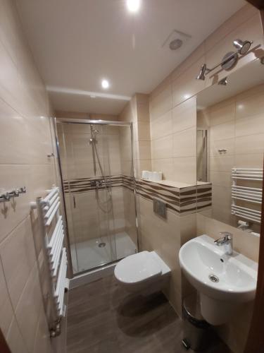 Un baño con ducha, inodoro y lavabo. en Pensjonat Willa Szarotka, en Kluszkowce