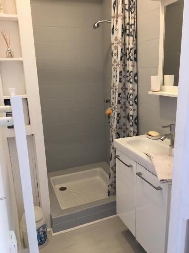 une salle de bain avec douche et lavabo dans l'établissement KER HEDWIGE, à Carnac