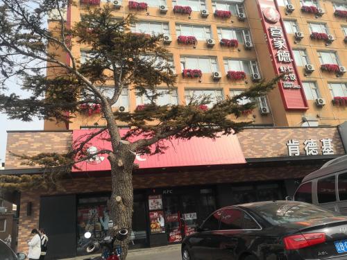a tree in front of a building with a building at 7Days Premium Dalian Airport in Dalian