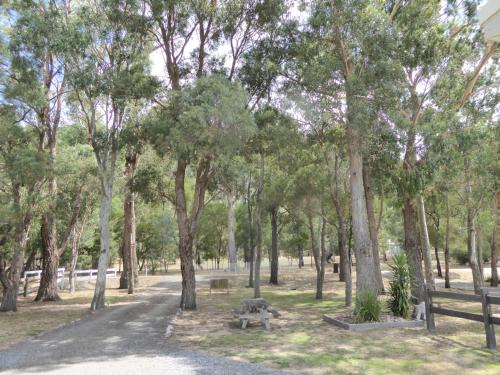 a park with a picnic table and trees at Dacelo in Halls Gap