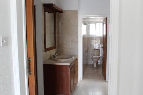La salle de bains est pourvue d'un lavabo et de toilettes. dans l'établissement Costas Hostel Action 2, à Nicosie