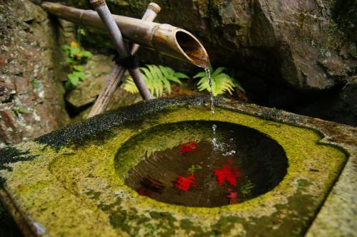 a bird bath with water coming out of it at 高野山 宿坊 恵光院 -Koyasan Syukubo Ekoin Temple- in Koyasan