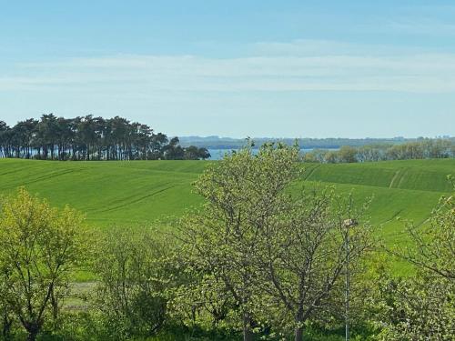 a green field with trees in the foreground at Fuchs und Elster in Hohenkirchen