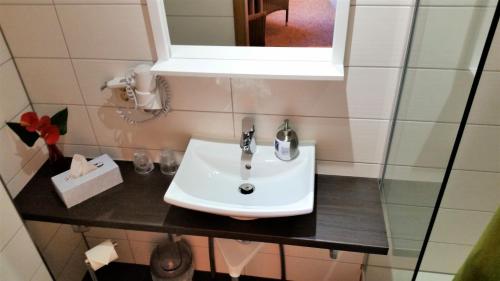 a bathroom with a sink and a mirror at Hotel-Pension Grüne Linde in Delitzsch