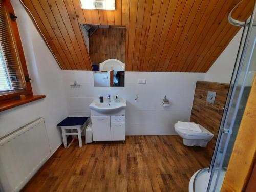 扎科帕內的住宿－Pokoje Gościnne KAMI，一间带水槽和卫生间的浴室