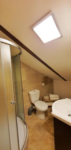 a bathroom with a toilet and a sink and a skylight at Casa Crown in Braşov