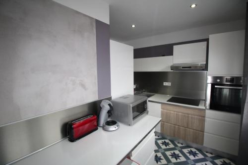 une cuisine avec un comptoir, un four micro-ondes et un ordinateur dans l'établissement Bel appartement 53 m2, à Ruy