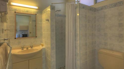a bathroom with a sink and a toilet and a shower at Glen Innes Motel in Glen Innes