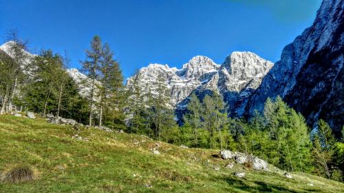 a grassy hill with mountains in the background at Cottages Kravanja in Trenta