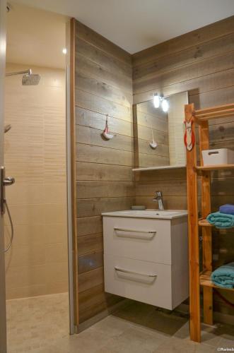 une salle de bain avec un lavabo et une douche dans l'établissement Eco logis le colibri, au Teich
