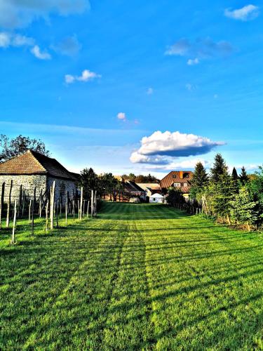 a field of green grass with a barn and a house at Bakonyi Kis-Lak in Bakonykoppány