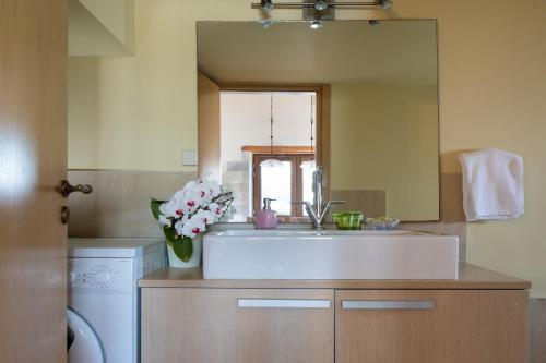 a bathroom with a sink and a mirror at Olga's Filoxenia - Villa Aladanos-private pool and heated jacuzzi in Makhairoí