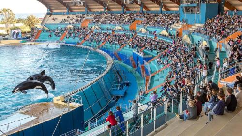 Άλλα ζώα σε αυτή η παραθεριστική κατοικία ή στη γύρω περιοχή