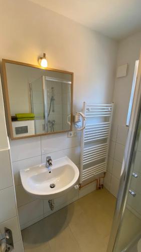 a bathroom with a sink and a mirror at Bs Living Apartment in Braunschweig