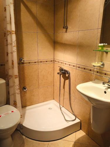 e bagno con doccia, servizi igienici e lavandino. di Elena Hotel a Petrič