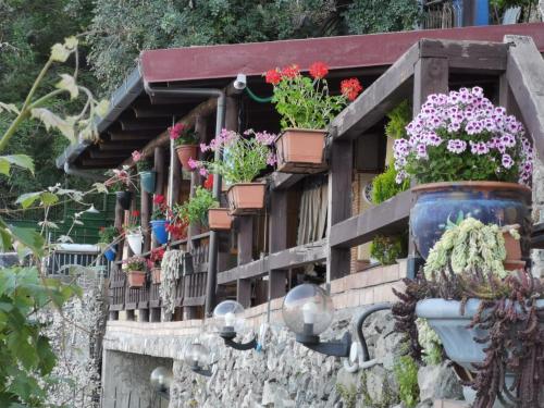 Gallery image of Casa Vacanze Morselli in Scilla