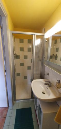 een badkamer met een wastafel en een douche bij Casa 21 in Sonogno