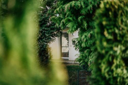 a view of a house through some trees at Walpurgis Hexe in Braunlage