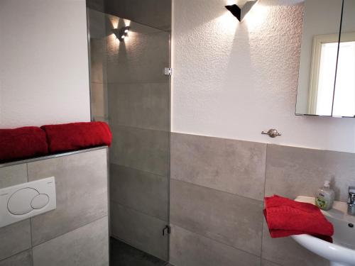 bagno con lavandino e specchio di Ferienwohnungen Hass - Haus 1 a Fehmarn