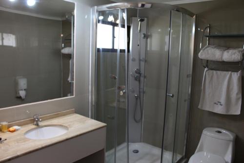 uma casa de banho com um chuveiro, um lavatório e um WC. em Hotel Puerto Mayor em San Antonio