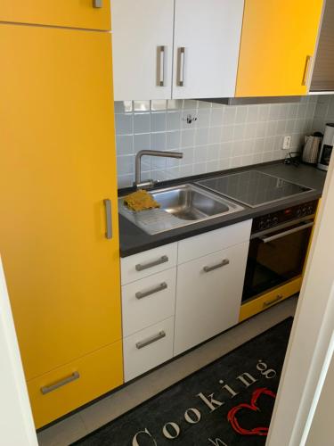 Dapur atau dapur kecil di FeWo Merle