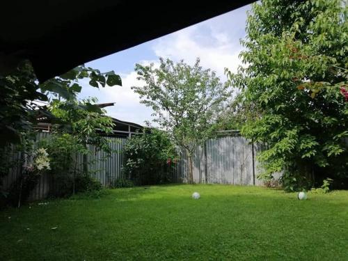 a backyard with a fence and a yard with two balls at Casa File de Poveste in Târgu Jiu
