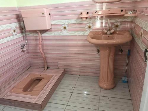 a pink bathroom with a sink and a toilet at Pine Park Lodges in Shāhkot
