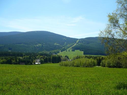 a field of green grass with mountains in the background at Apartmány Racek in Ostružná