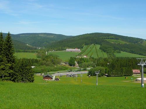 a green field with a mountain in the background at Apartmány Racek in Ostružná