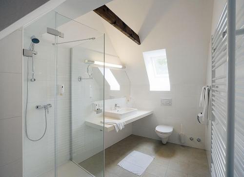 ein Bad mit einer Dusche, einem WC und einem Waschbecken in der Unterkunft Sporer Stadthotel Bad Radkersburg in Bad Radkersburg