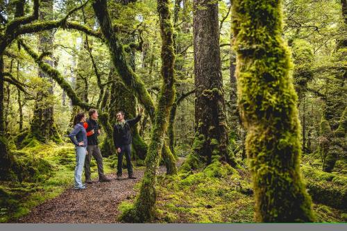 three people walking on a trail in the woods at Fiordland Lodge in Te Anau