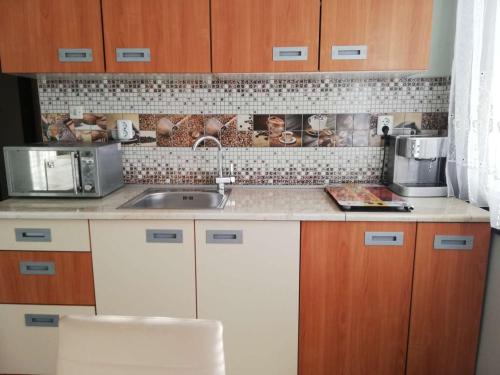 索佐波爾的住宿－Guest House Plavas，厨房配有水槽和台面