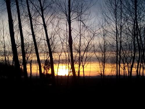 a sunset is seen through a group of trees at Hotel Select in Montecchio Emilia