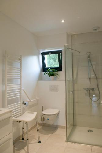 une salle de bain avec toilettes et douche en verre dans l'établissement Gites du bien-hêtre, à Saint-Amand-les-Eaux