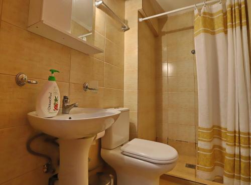 a bathroom with a sink and a toilet and a shower at Katerina Apartments in Keramotí
