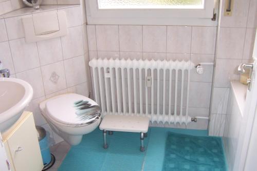 een kleine badkamer met toilet en wastafel bij Ferienwohnung Sakowski in Lörrach