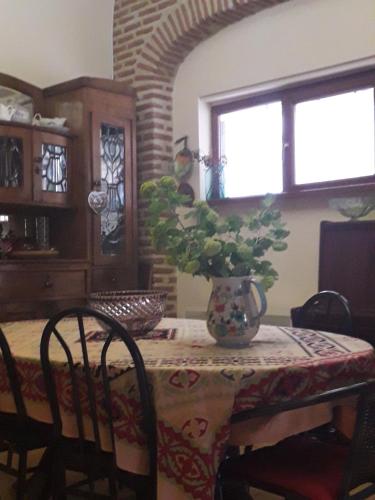 einen Tisch mit einer Vase drauf mit einer Pflanze darauf in der Unterkunft Nana's Guest House in Sighnaghi