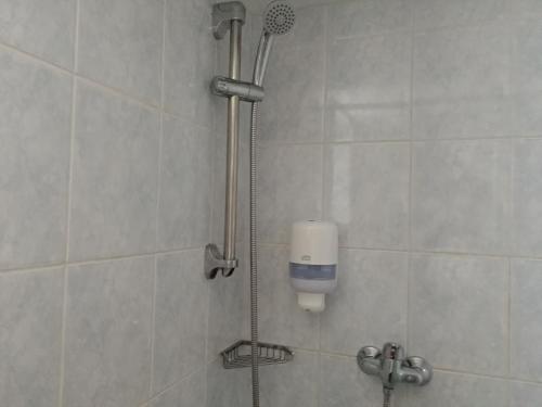 a shower with a shower head in a bathroom at CHATA NATAŠA in Dedinky