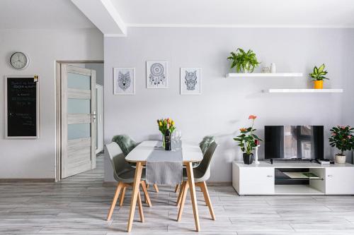 Fotografie z fotogalerie ubytování Apartament w centrum 2 v destinaci Ustrzyki Dolne