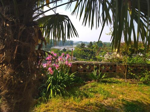 un jardín con flores rosas y una palmera en Le Gite de la Loire, en Rochecorbon