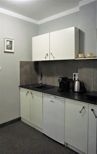 Dapur atau dapur kecil di Explorer B&B Old Town Rooms & Apartment #don't be a tourist, be an Explorer!