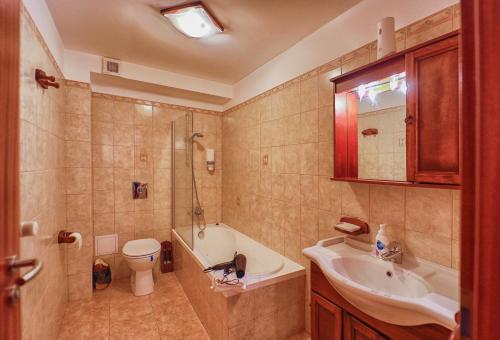 a bathroom with a sink and a toilet and a shower at Predeal Fine Apartaments Clabucet in Predeal