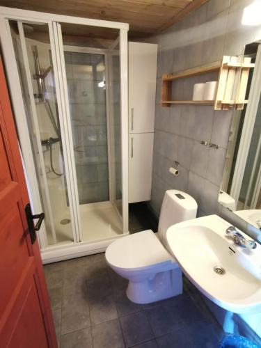a bathroom with a toilet and a sink and a shower at Ørterstølen Hytter in Gol
