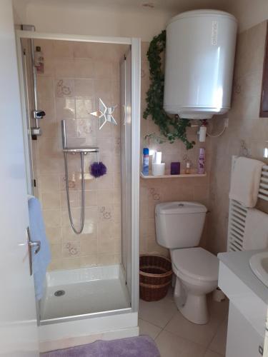 une salle de bain avec douche et toilettes dans l'établissement LA CIGALINE, à Lorgues